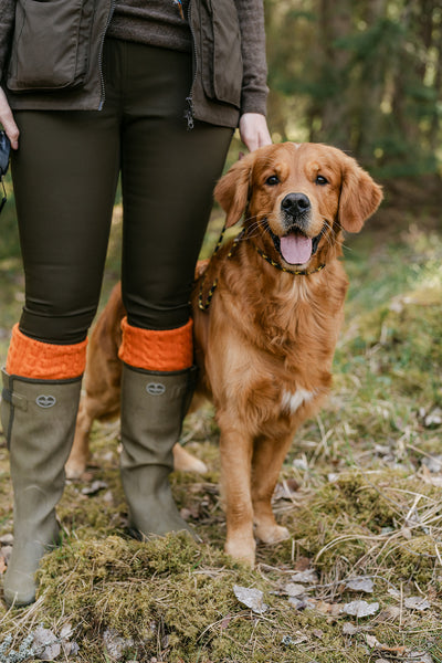 PENNINE Mayfair shooting sock,  pumpkin